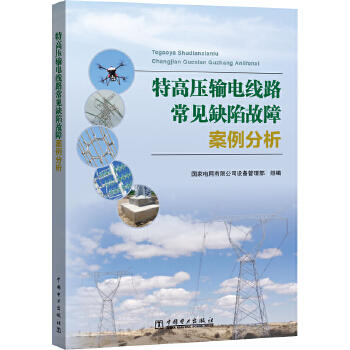 特高压输电线路常见缺陷故障案例分析 商品图0