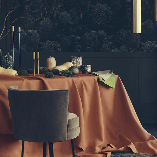 AT邸尔铂·法国进口奢华家纺佛罗伦萨Florence桌品艺术桌布桌旗 商品图9