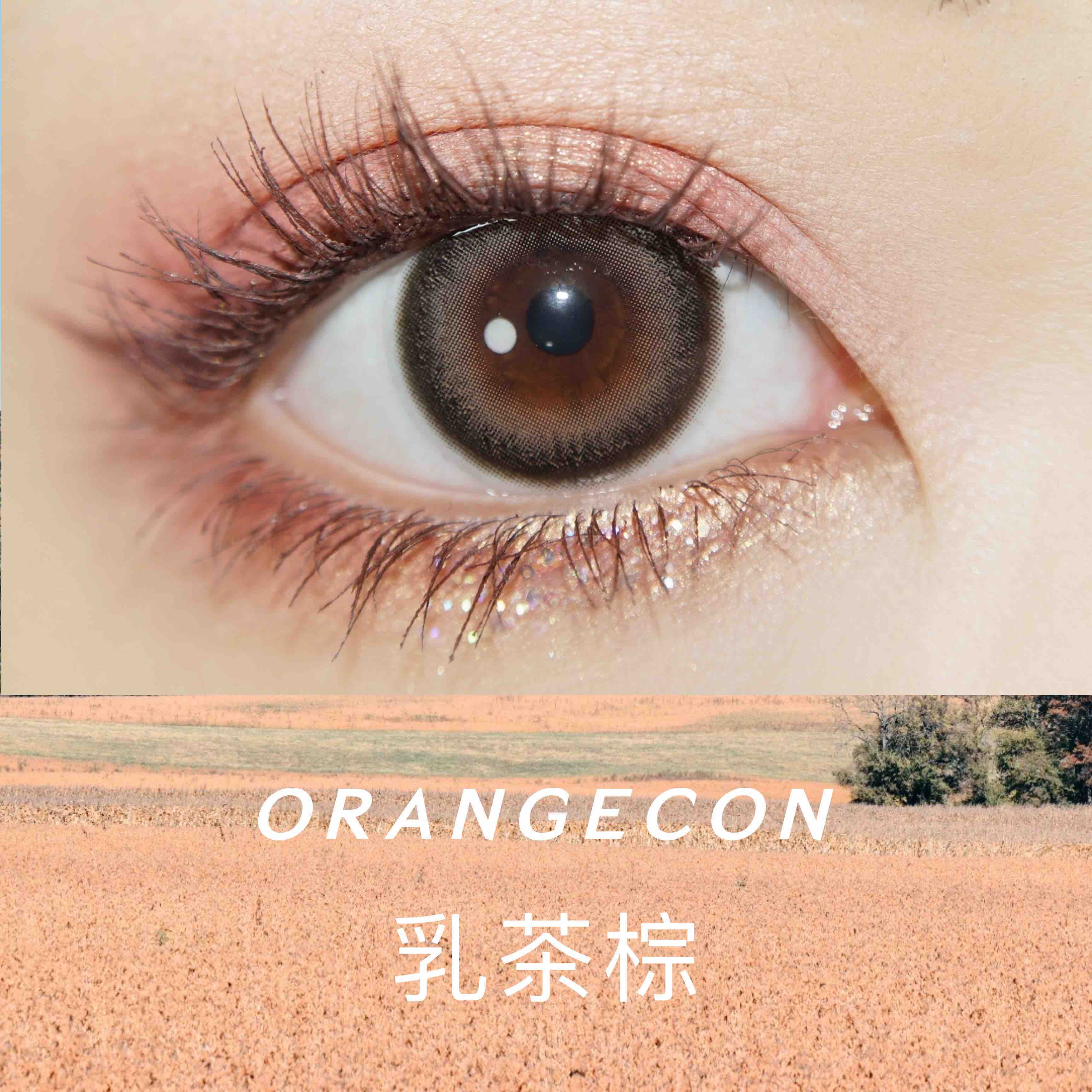 ORANGECON × DORAGINA AMACHA乳茶棕 14.2mm（着色13.3mm）