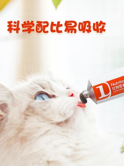 【新人专享】红狗化毛膏营养膏关节膏美毛膏120g鱼油223ml科学配比美毛护肤 商品图4