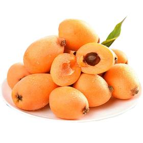 【2斤】新鲜四川枇杷  【当天提货】【当天提货】