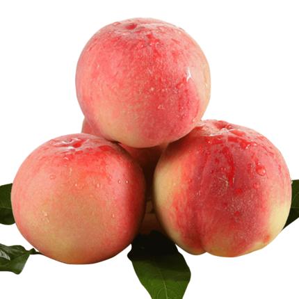 【用图】现摘新鲜 高山水蜜桃 毛桃2斤【当天提货】 商品图2