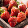 【整箱】丹东奶油草莓精品1箱 (净重约600g)【当天提货】 商品缩略图5