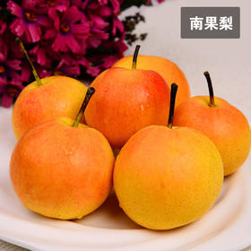 【2斤】辽宁鞍山南果梨正宗南国梨东北特产【当天提货】【当天提货】