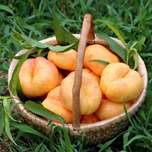 【2斤】黄油蟠桃  现摘新鲜香甜可口【当天提货】 商品图4