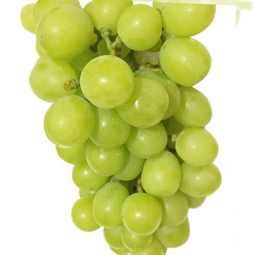 【2斤】新疆木纳格白葡萄 新鲜 重约2斤【2人内提货】 商品图7