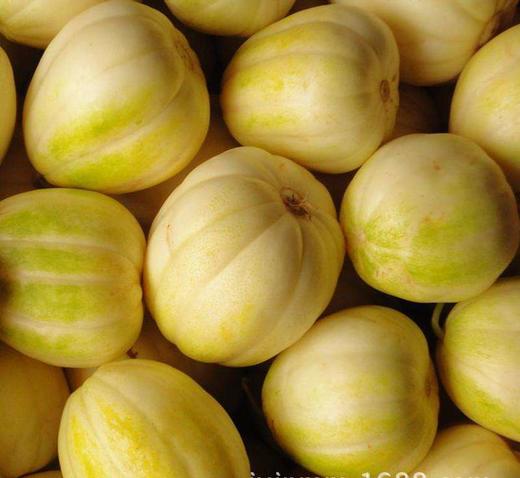 2斤精品白莲脆超甜可口香瓜店里称重时超重部分补差价即可当天提货2