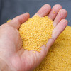 【米脂小米420g*5袋】|  农家小米，现磨现发，鲜香营养 商品缩略图1