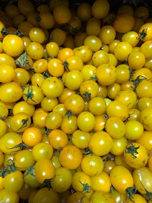 丹东黄姑娘柿子花皮特价