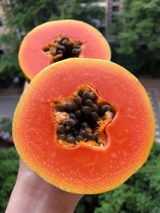 新品dole冰糖心木瓜