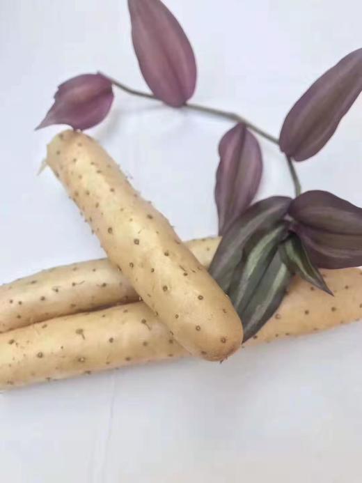 【冰糖山药  微量元素相当丰富】 商品图2
