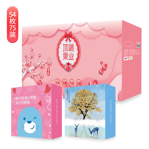 【菩提4A果】54枚75mm中果精品装6盒9枚75精品装  陕西洛川红富士苹果4A级 商品图8