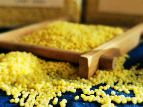 【有机胚芽黄金苗2号小米】【会员专享】 【六星推荐】沙漠与草原交界处，原生态，保留胚芽营养，有机方式种植，老种子【港澳台西藏新疆不售】