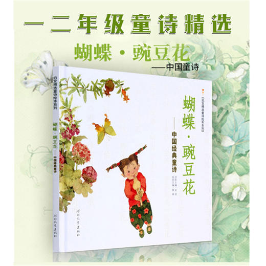 蝴蝶·豌豆花 商品图1