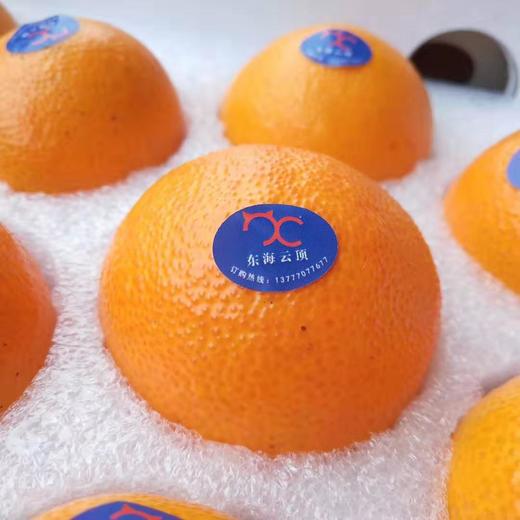 【正宗精品象山黄美人】 曾在第十届亚洲博览会获奖，以不一般的美妙口感深入人心 商品图0