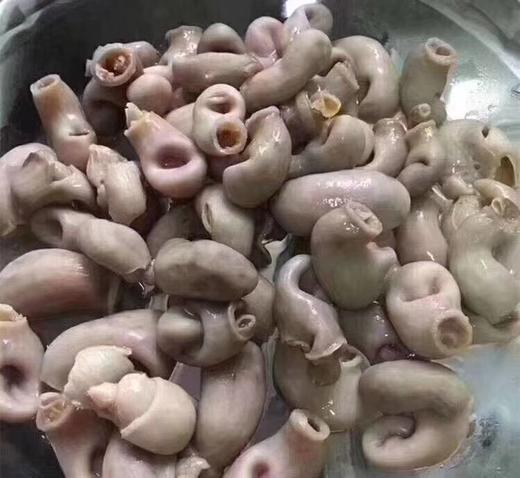 石斑鱼肚 商品图1