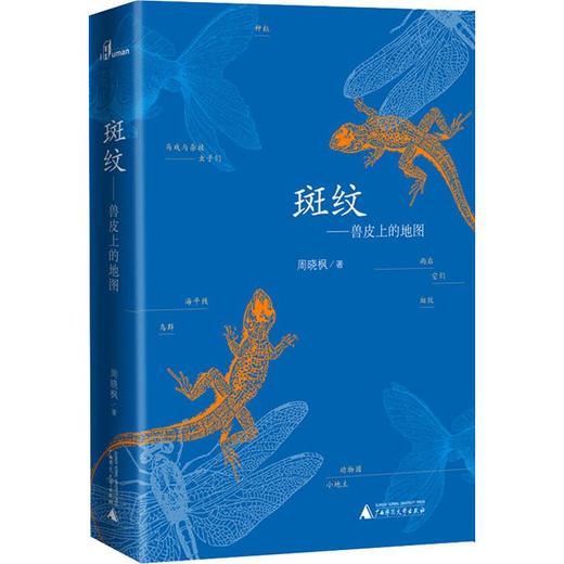 斑纹——兽皮上的地图 商品图0