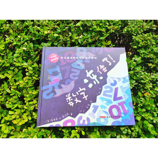 数字冻住了(精装绘本) 商品图1