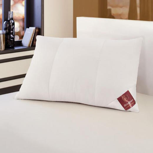 德国百年品牌Brinkhaus鹅绒枕轻柔型枕头六腔枕 商品图0