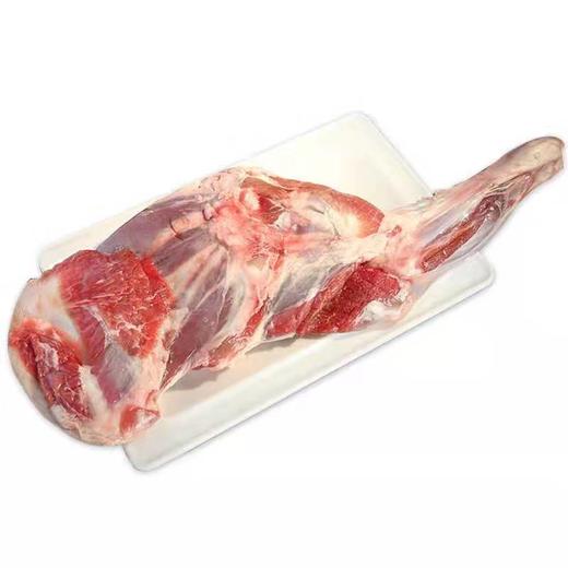 额尔敦 羔羊前腿2斤 商品图1