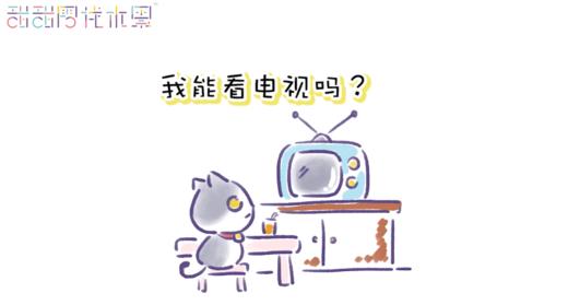 我能看电视吗 商品图0