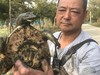 花间村纯野生甲鱼（五年以上，每只重1.8-2.2斤） 商品缩略图1