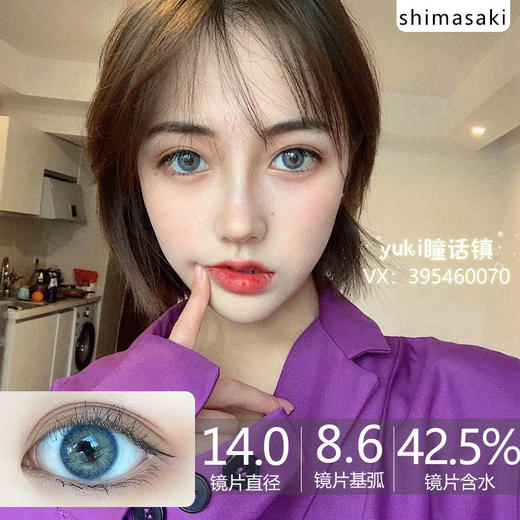 shimasaki 小野猫蓝 0-175/350/800度缺 商品图0