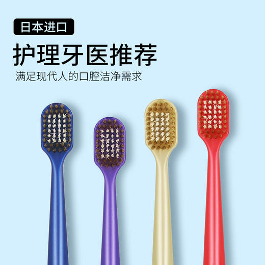 【门店直发】日本蜜梨牙刷48孔软毛日本进口成人经典宽头牙刷防牙龈出血 商品图1