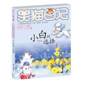 小白的选择