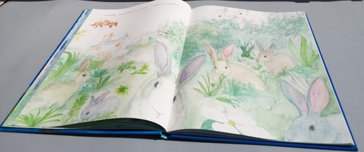 中国名片 科技中国·指南针 商品图4