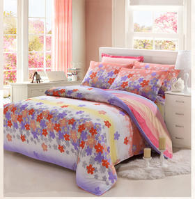 远梦雅沁纯棉被套（花色随机）