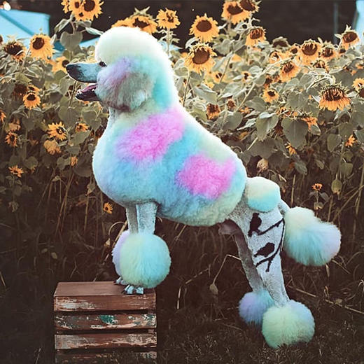 宠物染色香波 500ml OPAWZ小爪印 商品图8