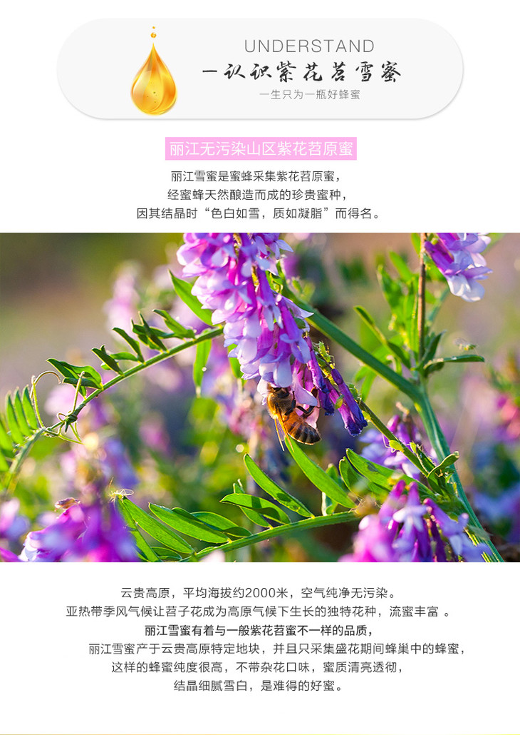 67【甄选佳蜜】云南丽江雪蜜500g装 紫花苕原蜜 高原稀有好蜜