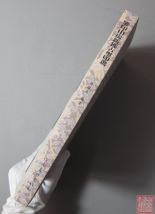 《鉴印山房新获古玺印选》全一册 商品图11