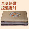【全身热敷 温控定时】艾绒发热养生被垫 商品缩略图1