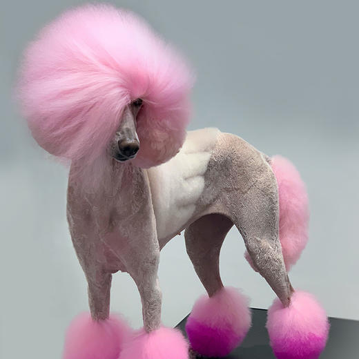 宠物染色香波 500ml OPAWZ小爪印 商品图3