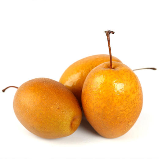 河南61金珠沙梨黄中透亮汁液丰富软化血管野生驯化缓咳润肺