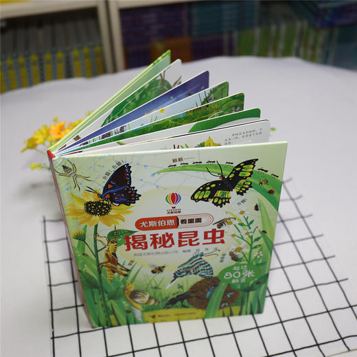 尤斯伯恩看里面 揭秘昆虫 商品图2