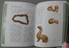 《中国古玉鉴藏》 商品缩略图5