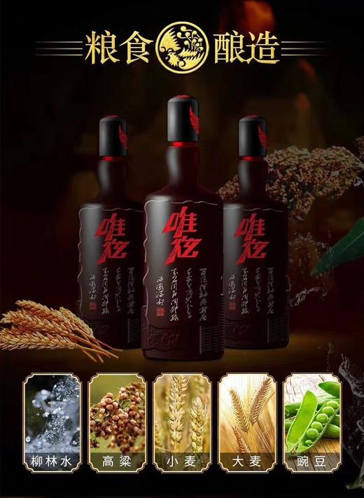 西凤酒唯炫45%1升 商品图4