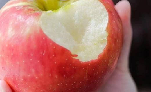 美国honeycrisp 蜜脆苹果 99箱/6斤