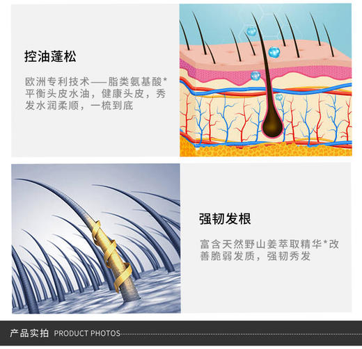 HASERVEY/海瑟薇 氨基酸姜汁洗发水520ML 净屑舒爽JPY带授权招加盟代理 商品图6