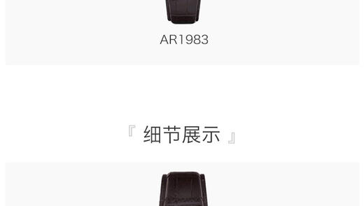 【香港直邮】意大利 Emporio Armani 阿玛尼机械表 时尚镂空休闲皮带手表男表 AR1983JPY带授权招加盟代理 商品图2