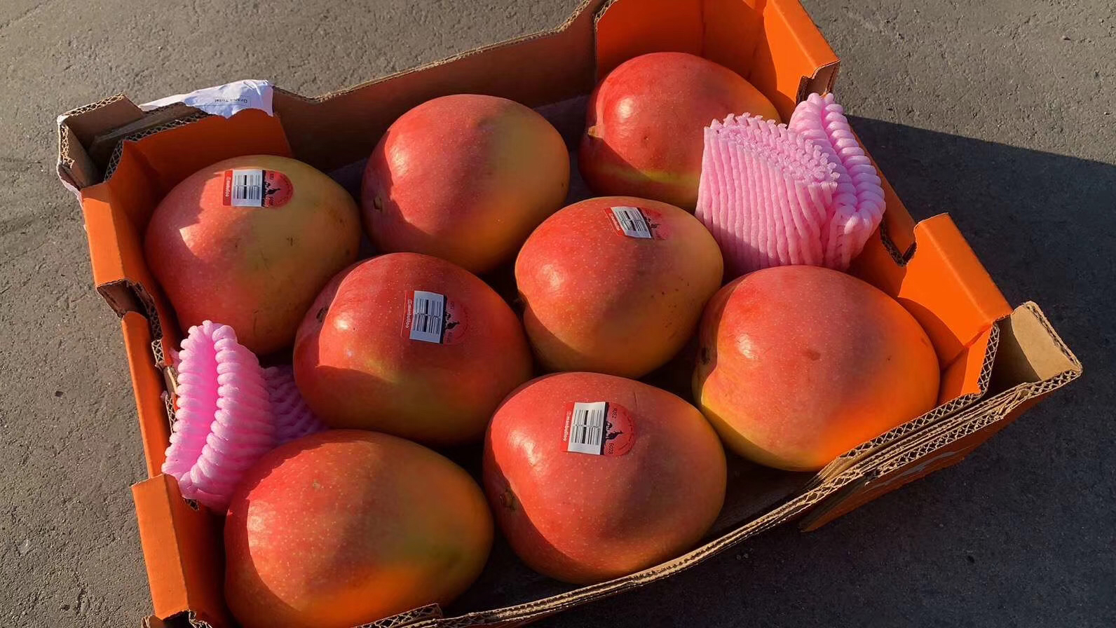 澳大利亚特级mango芒果香气十足口感极致细腻光滑澳洲空运直达ole