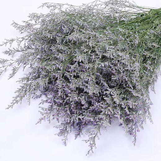 情人草一公斤 商品图0