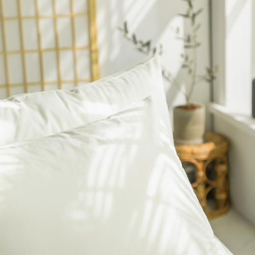 【立体枕芯】立体枕芯出口酒店枕芯全棉超柔枕头 单只 商品图5