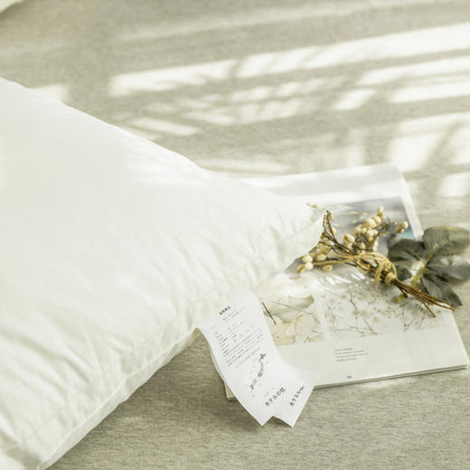 【立体枕芯】立体枕芯出口酒店枕芯全棉超柔枕头 单只 商品图4