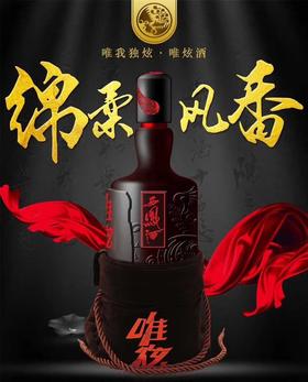 西凤酒唯炫45%1升