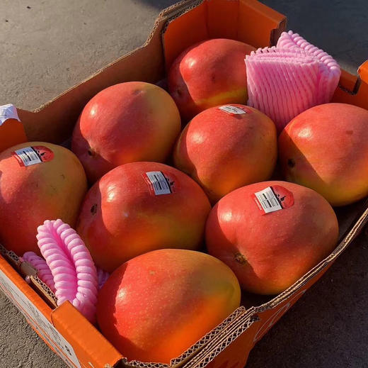 澳大利亚Mango芒果香气十足，口感细腻光滑！澳洲空运直达，Ole、高岛屋等商超同款哦[得意] 商品图12