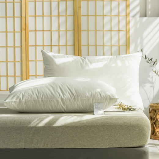 【立体枕芯】立体枕芯出口酒店枕芯全棉超柔枕头 单只 商品图3